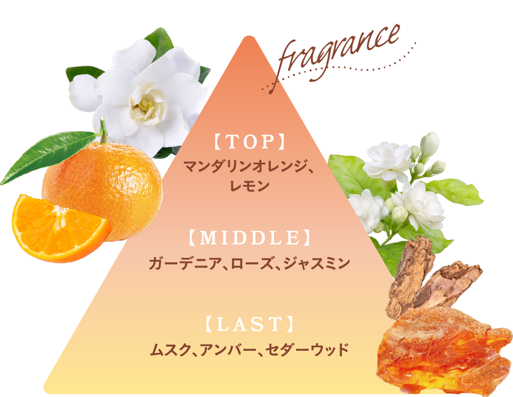 fragrance TOPマンダリンオレンジ、レモン MIDDLEガーデニア、ローズ、ジャスミン LASTムスク、アンバー、セダーウッド